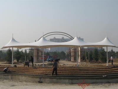 201116232324148.jpg